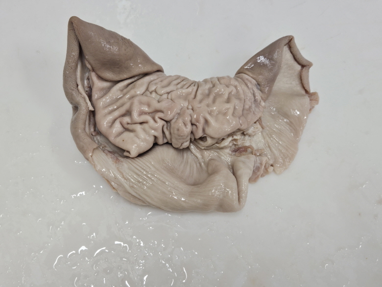 408601_detail_3.jpg