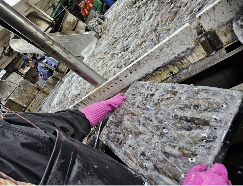 408820_detail_2.jpg
