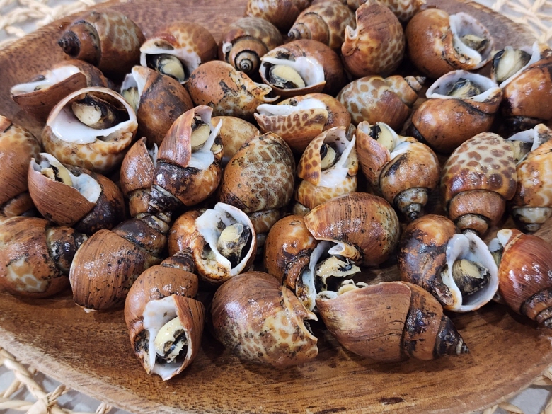 408879_detail_34.jpg