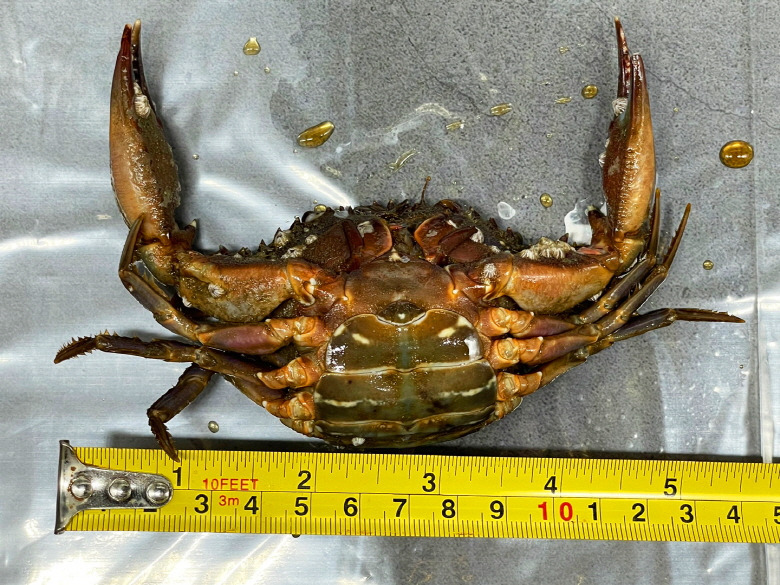 583973_detail_19.jpg
