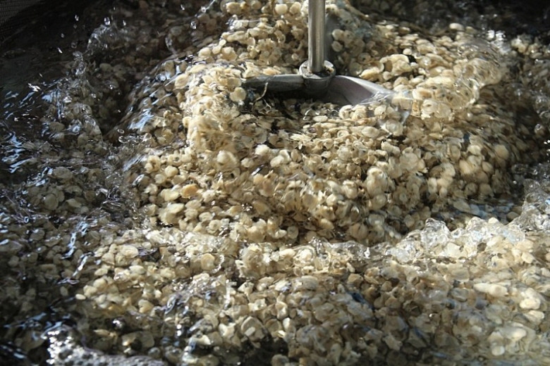 584022_detail_9.jpg