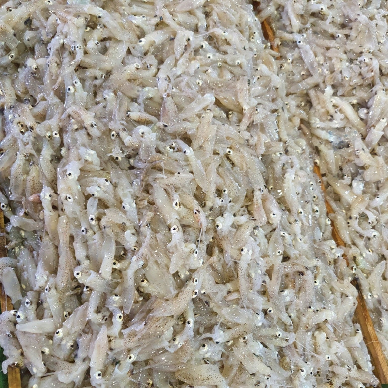 584285_detail_4.jpg