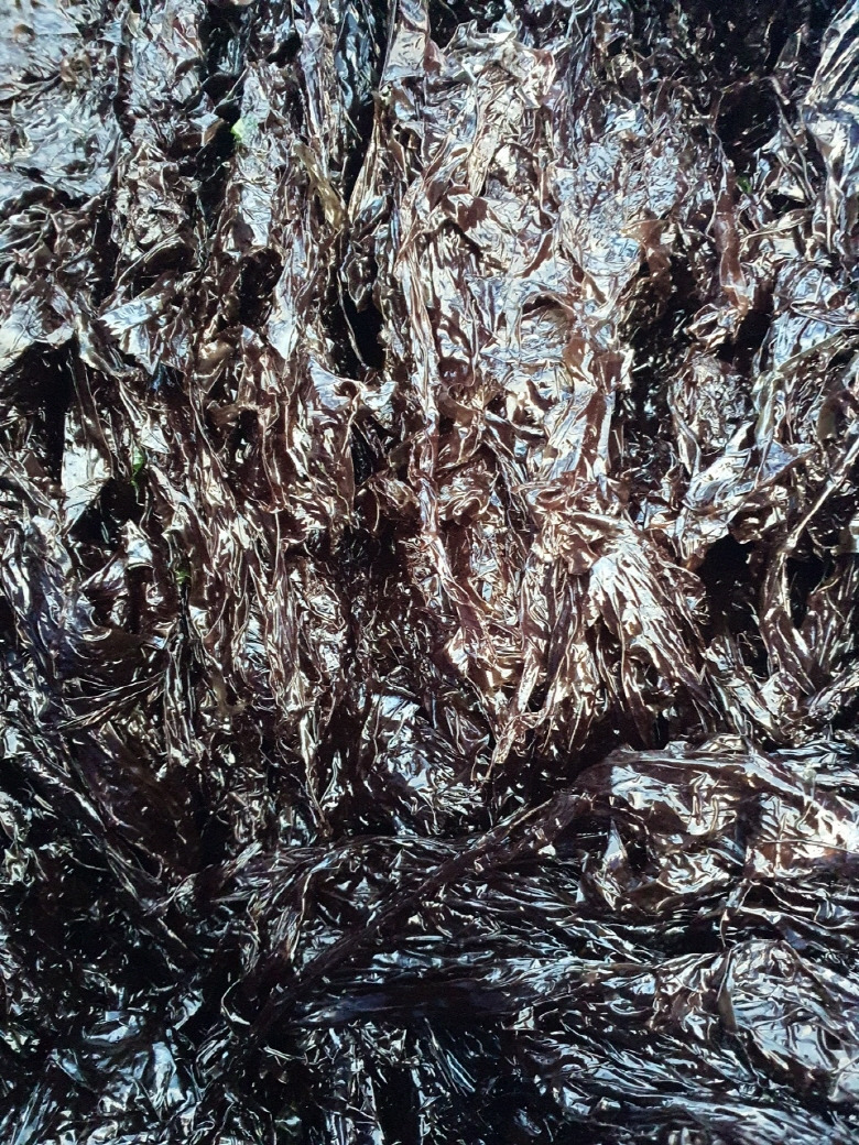 584495_detail_6.jpg