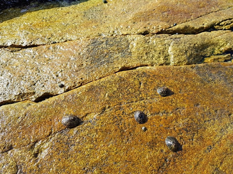 586459_detail_6.jpg