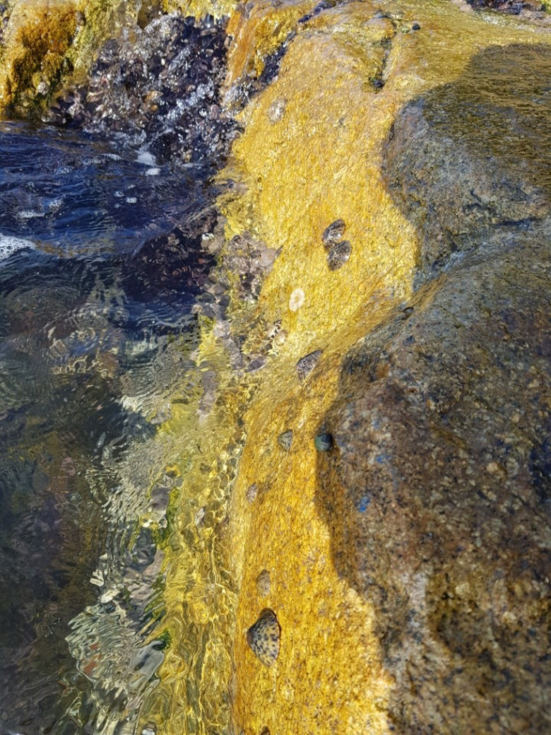 586459_detail_7.jpg