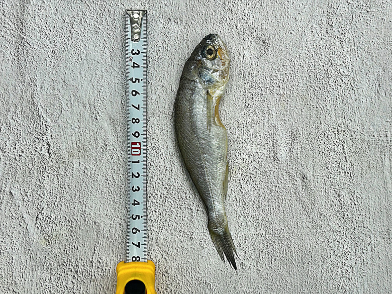 586460_detail_23.jpg