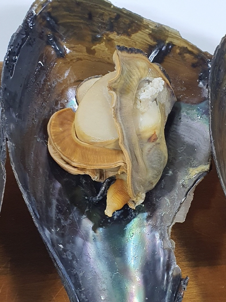 586469_detail_5.jpg