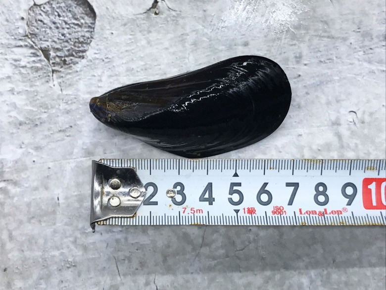586471_detail_57.jpg