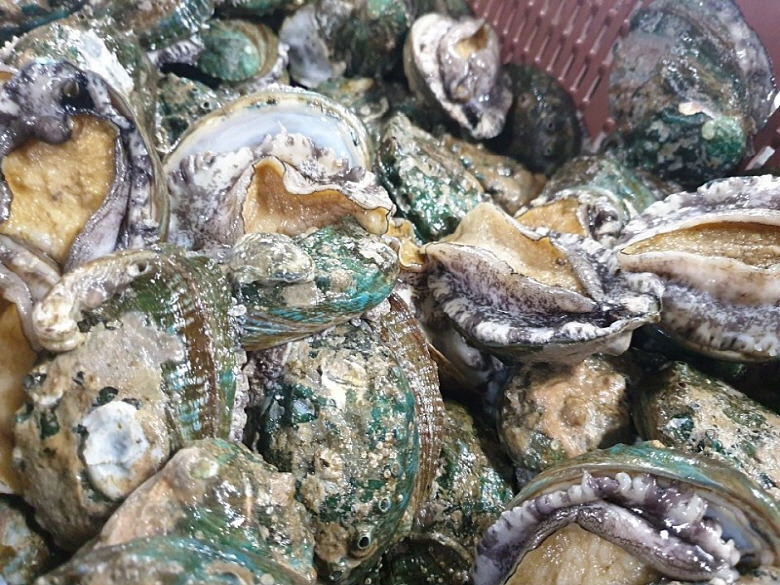 586492_detail_5.jpg