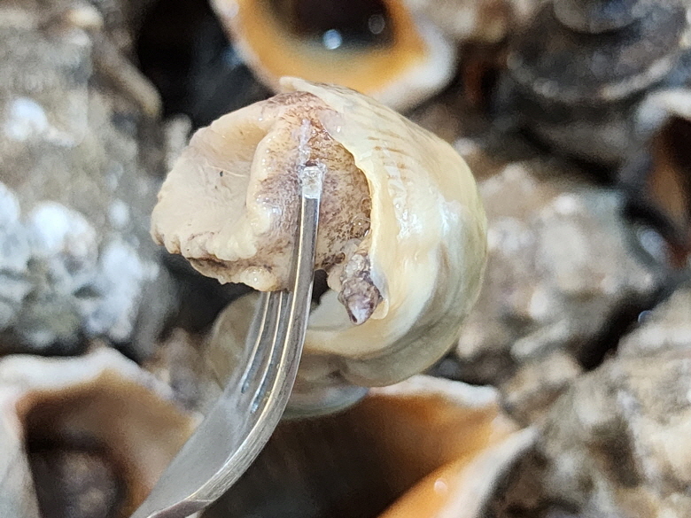 586625_detail_19.jpg