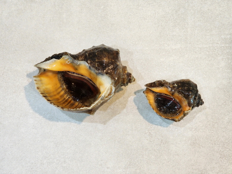 586625_detail_8.jpg