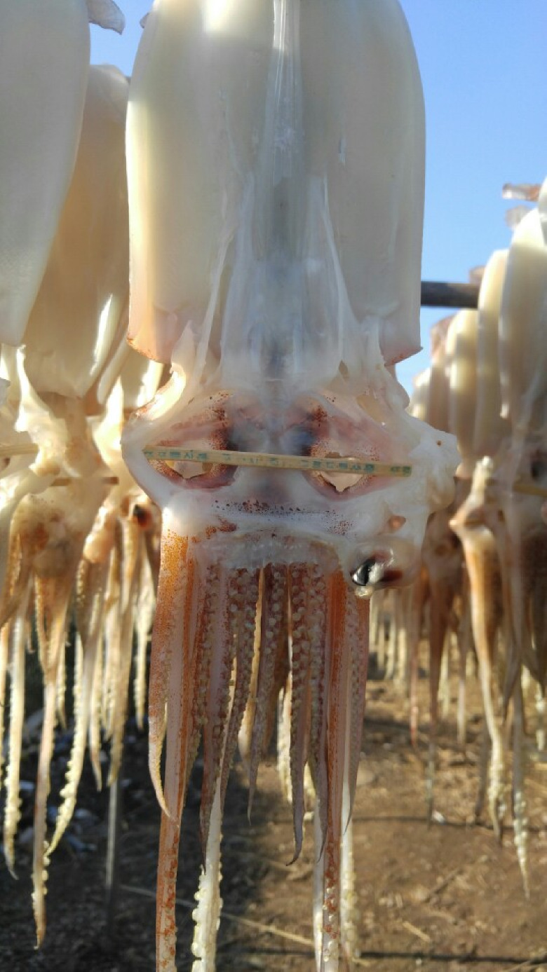 589904_detail_12.jpg