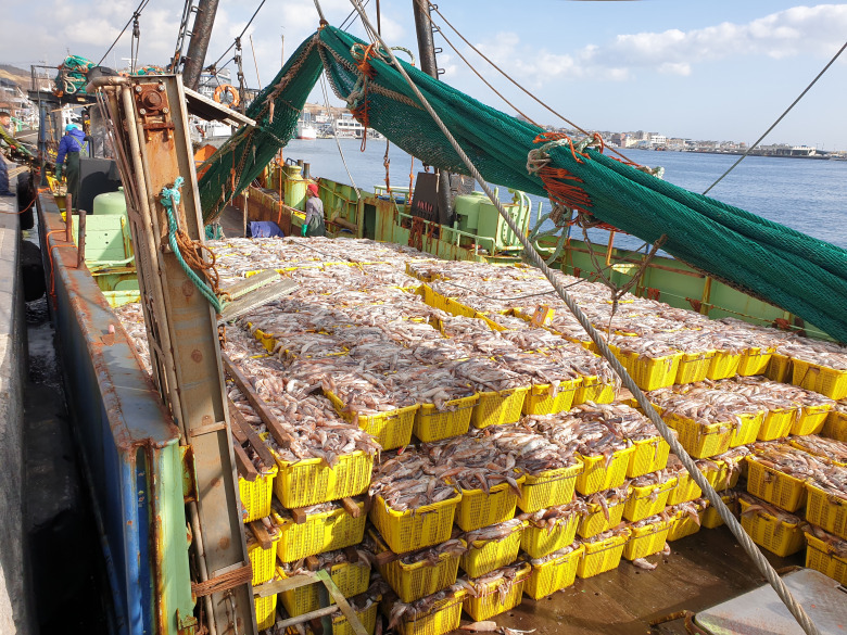 589905_detail_2.jpg