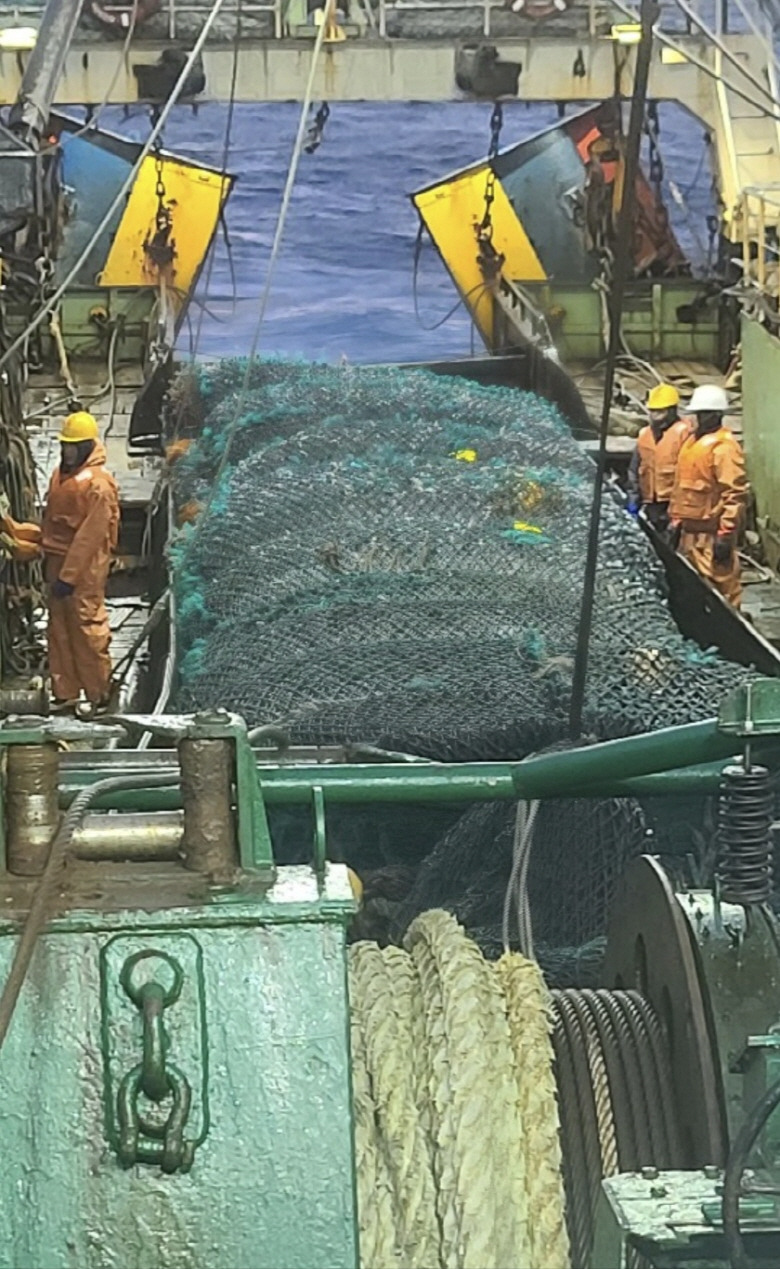 589910_detail_1.jpg