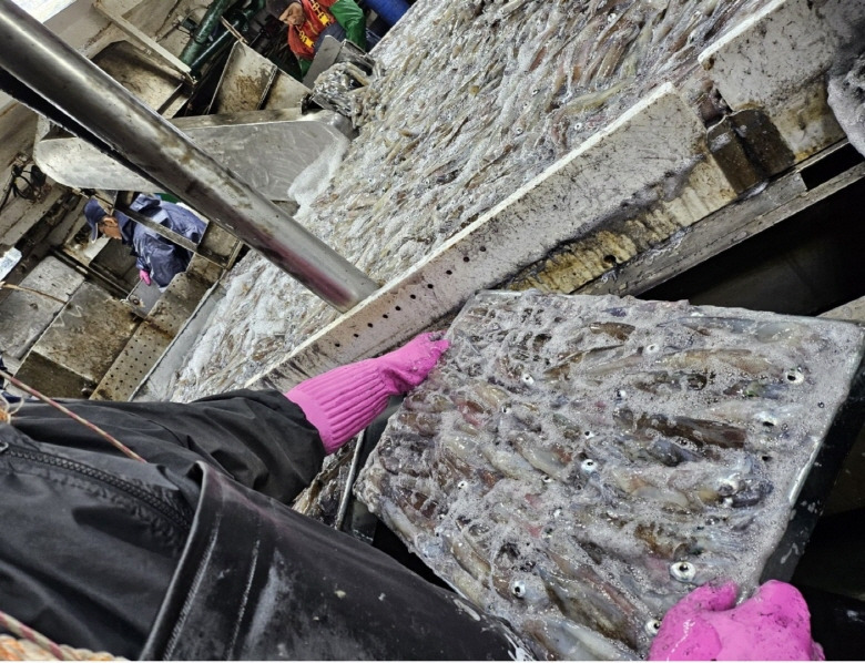 589910_detail_2.jpg