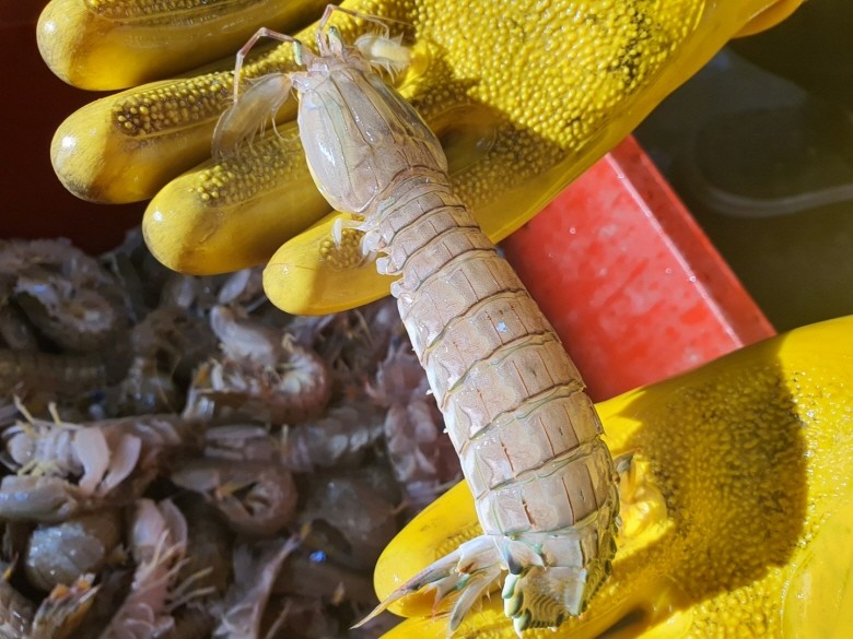 594407_detail_1.jpg