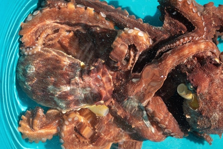 595681_detail_7.jpg