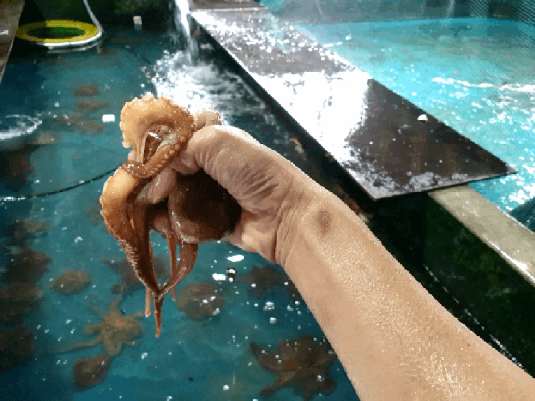 595682_detail_2.gif
