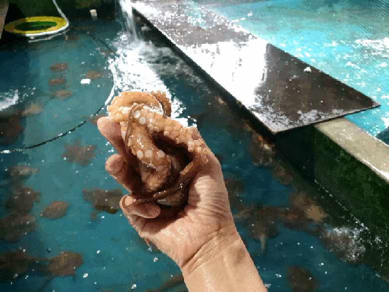 595682_detail_4.gif