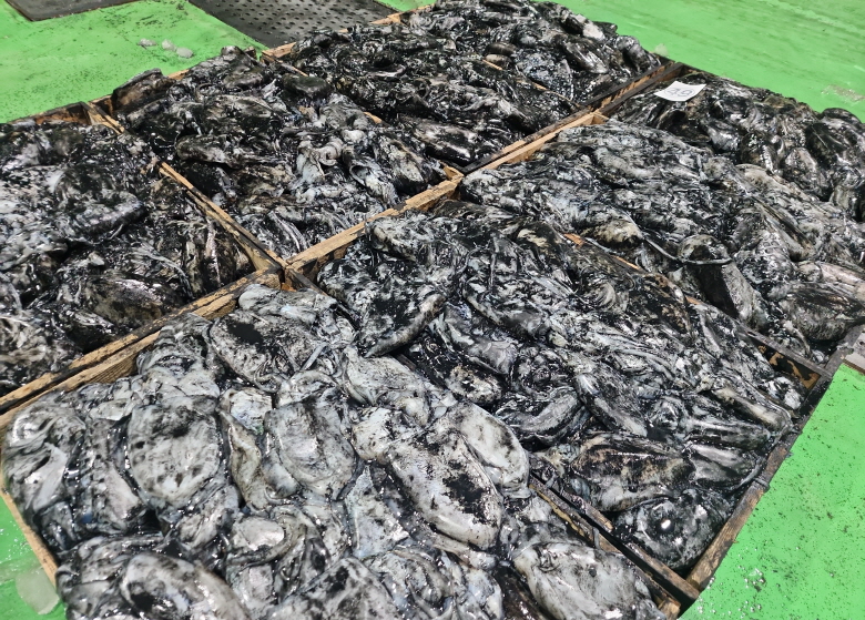 602160_detail_3.jpg
