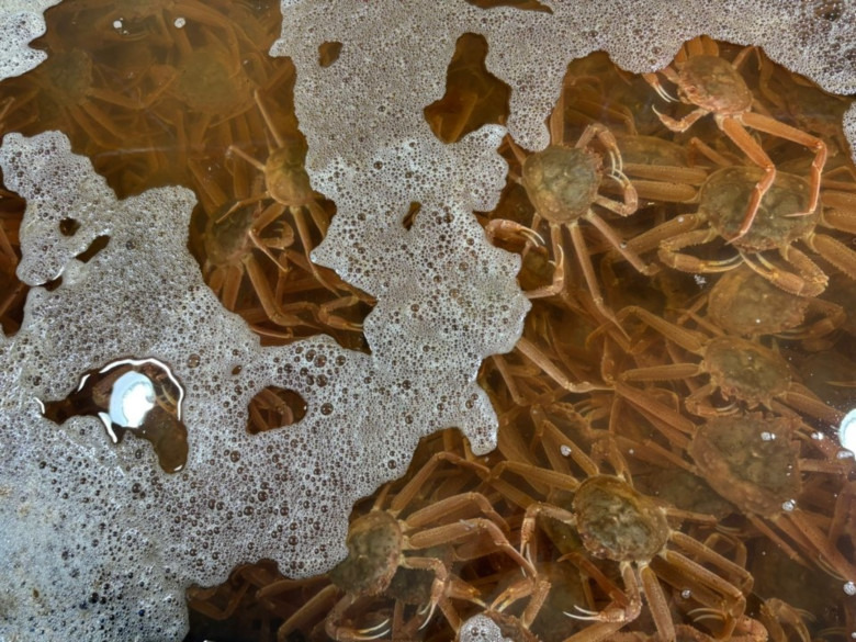 613662_detail_3.jpg