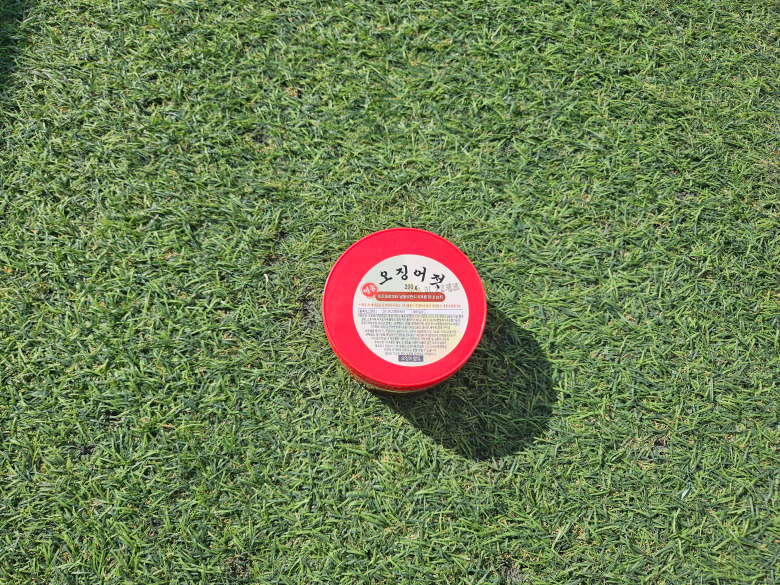 613663_detail_33.jpg