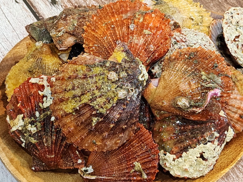 623181_detail_9.jpg