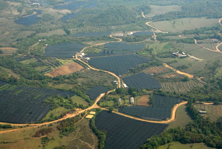 630548_detail_1.jpg