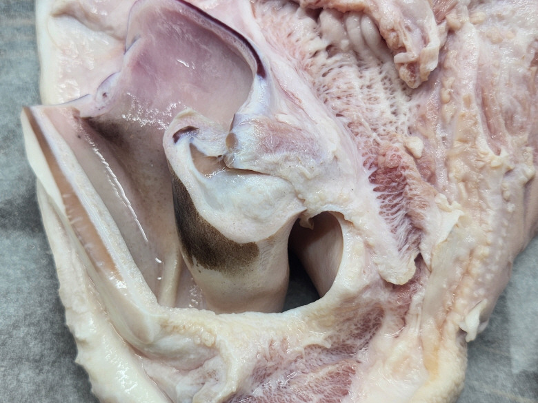 588549_detail_62.jpg