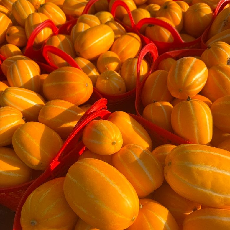 631559_detail_4.jpg