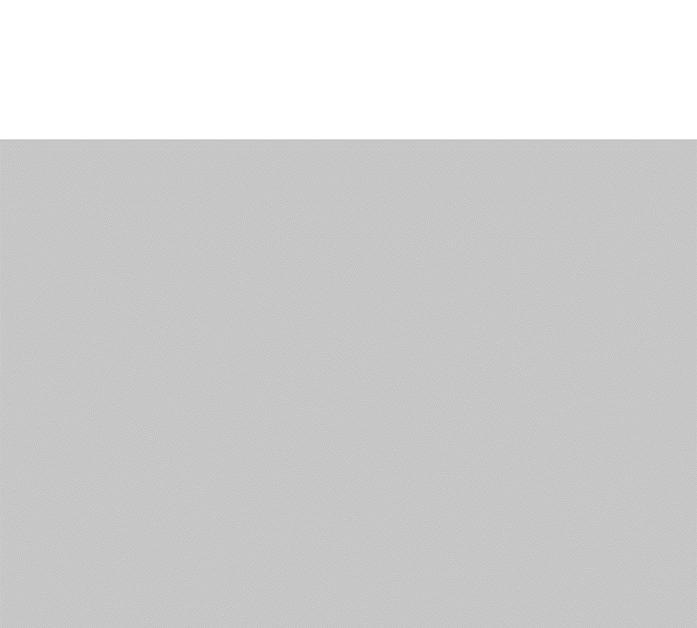 17201650_detail_5.gif