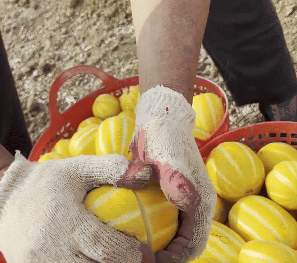 36448390_detail_4.gif