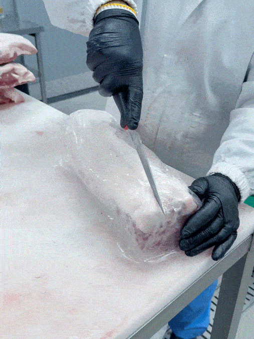 63271080_detail_8.gif
